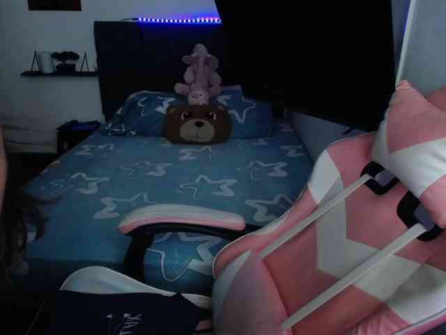 room-kitty webcam