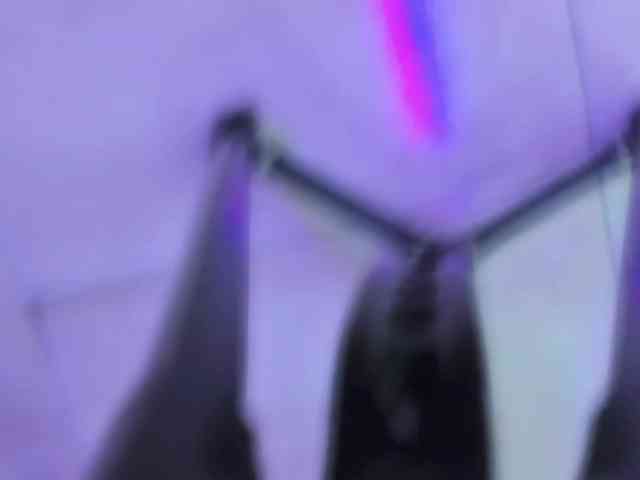 room-kitty webcam