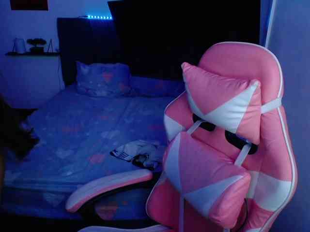 room-kitty