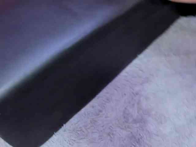 room-kitty webcam