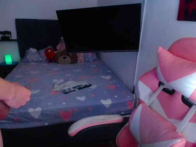 room-kitty webcam