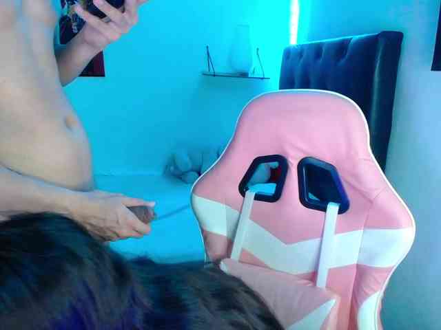 room-kitty webcam