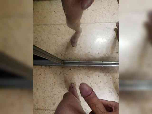 Oly81