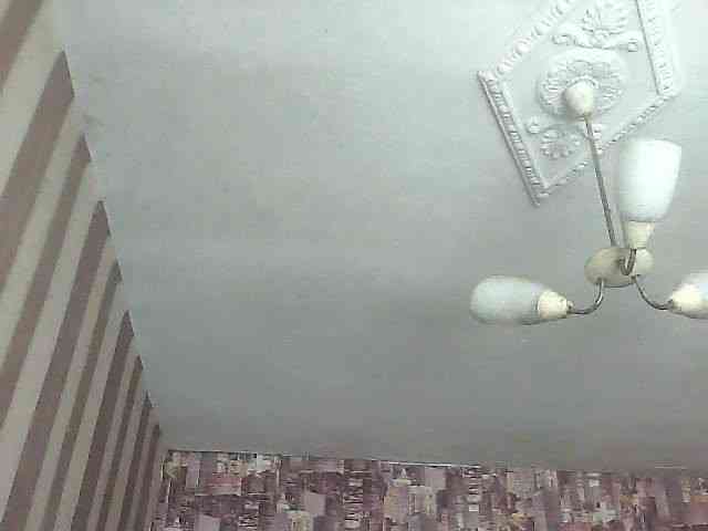 LynnYana webcam