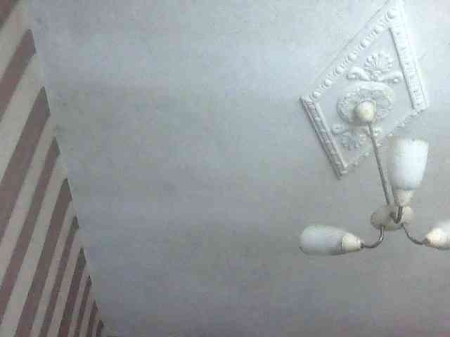 LynnYana webcam