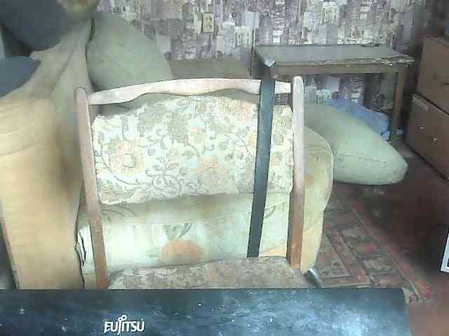 LynnYana webcam