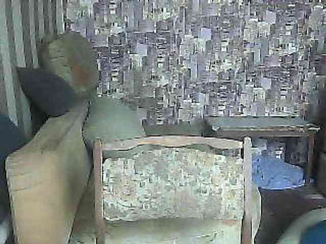 LynnYana webcam