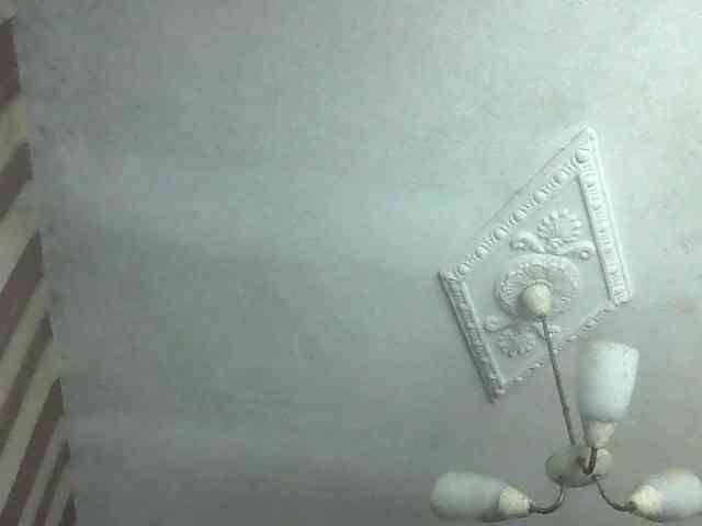 LynnYana webcam