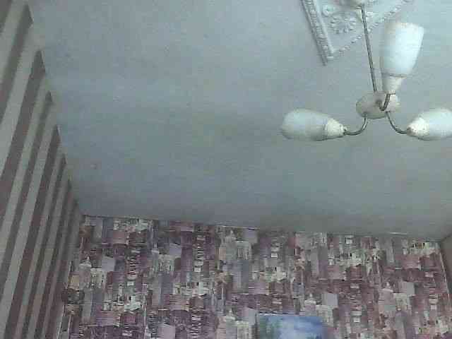 LynnYana webcam