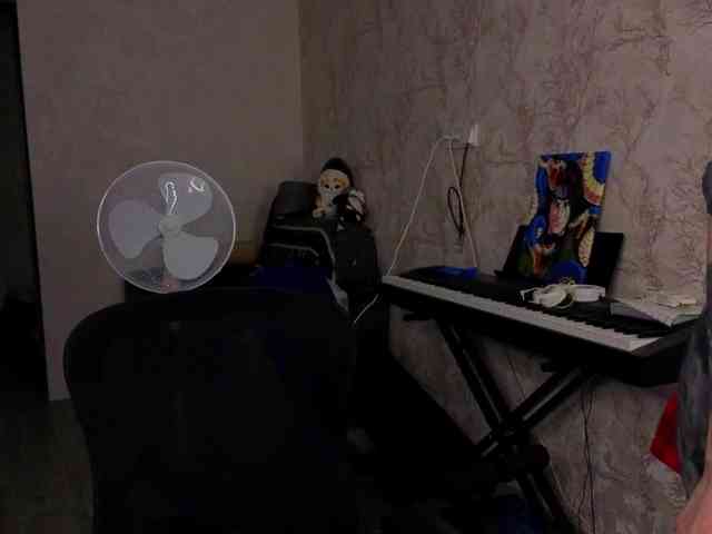 Who-is-sos webcam