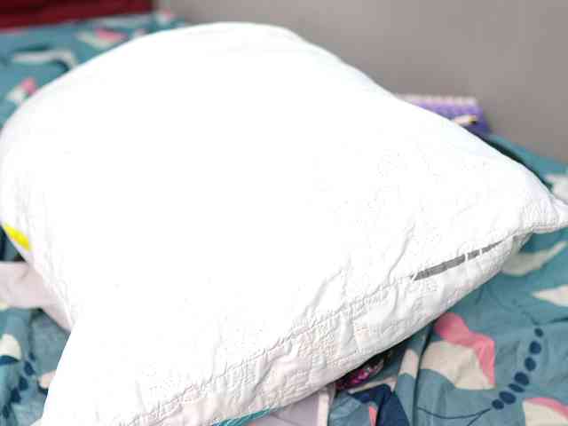 friendsmom webcam