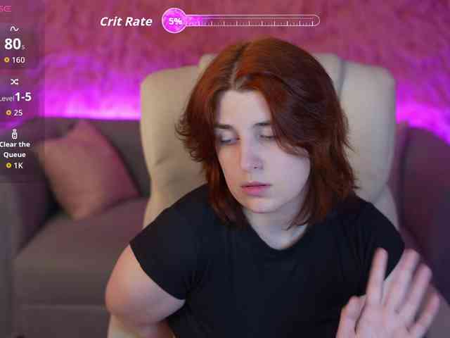 FairyFox webcam