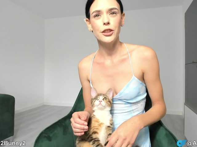AbyBunnyXXX