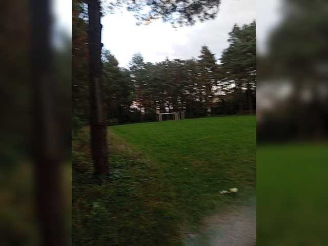 Mordasov