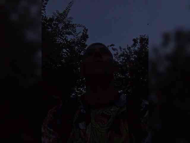 Mordasov