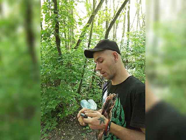 Mordasov