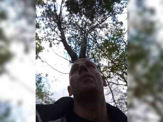 Mordasov