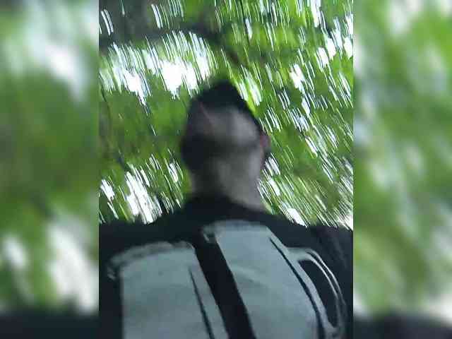 Mordasov