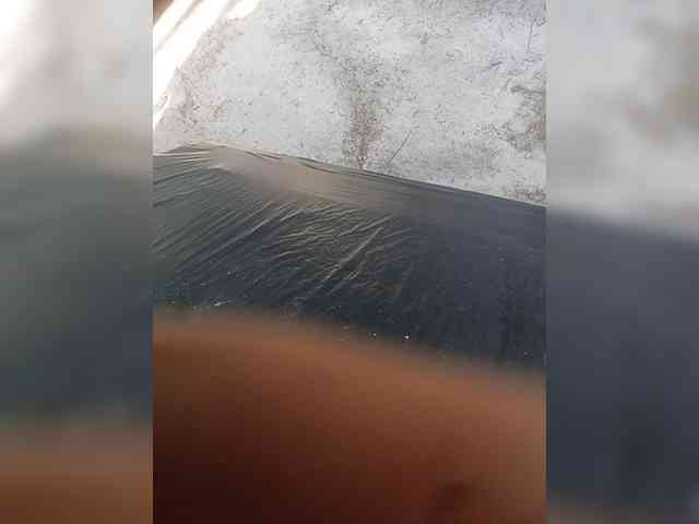 happymemb Sex Cam Show