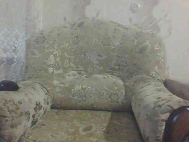 MissieLorrie webcam