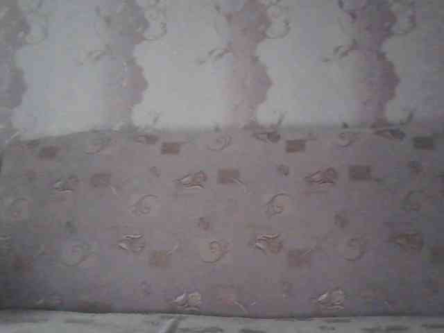 MissieLorrie webcam