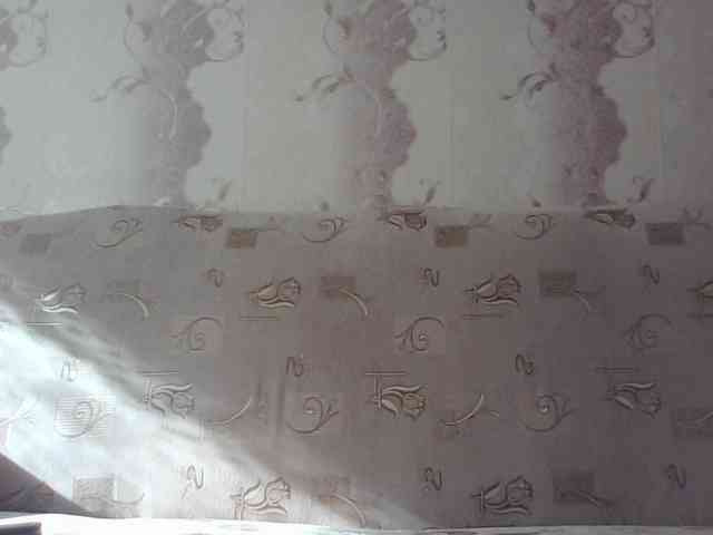 MissieLorrie webcam