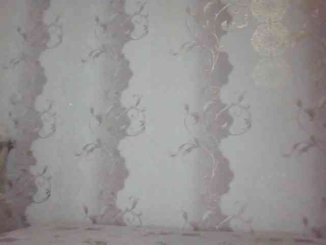 MissieLorrie webcam