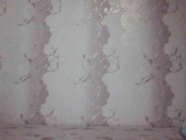 MissieLorrie webcam
