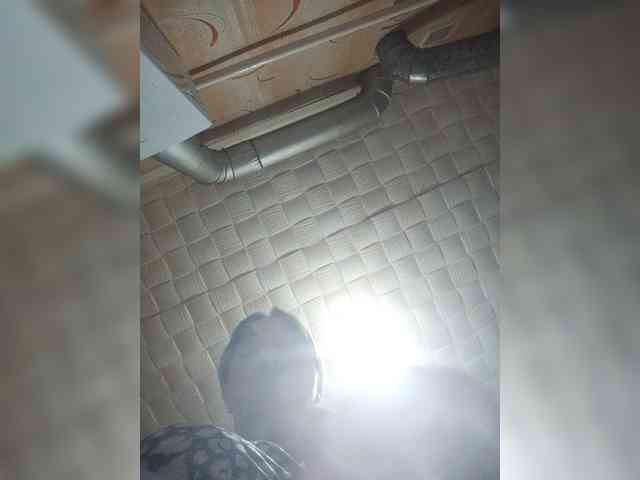 MissieLorrie