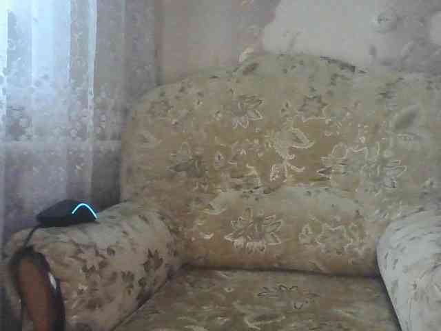 MissieLorrie webcam