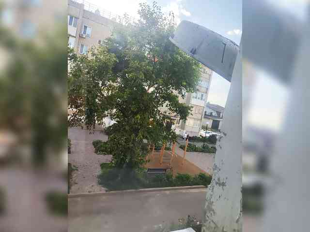 MissieLorrie webcam