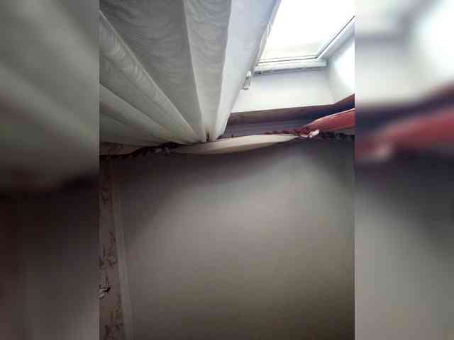 MissieLorrie webcam