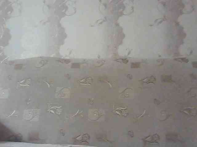 MissieLorrie webcam