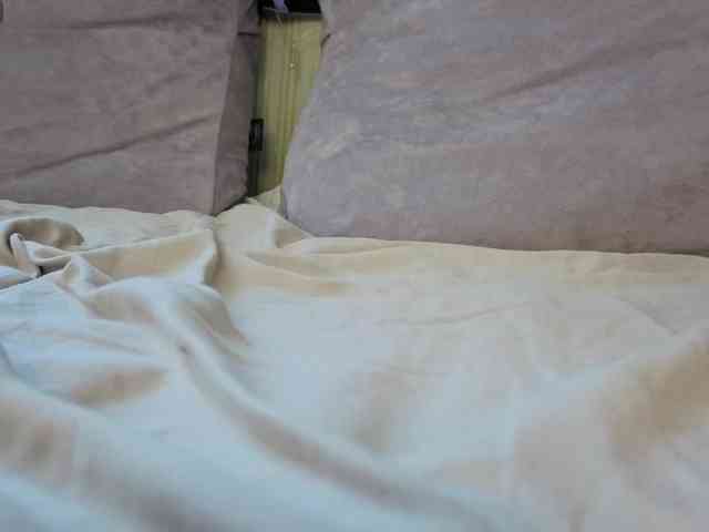 carnality webcam