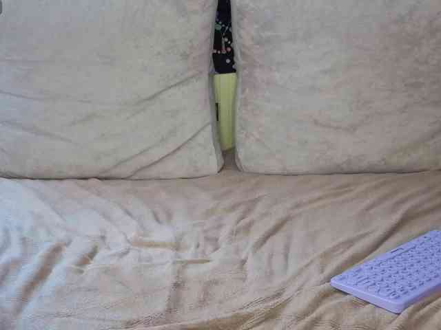 carnality webcam