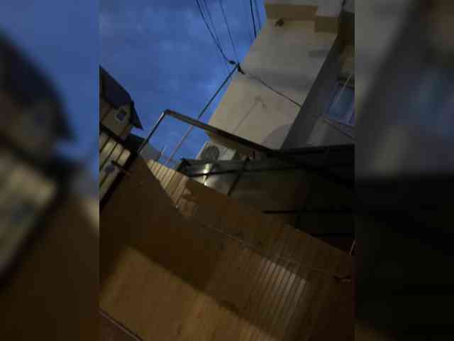 Mustang__007