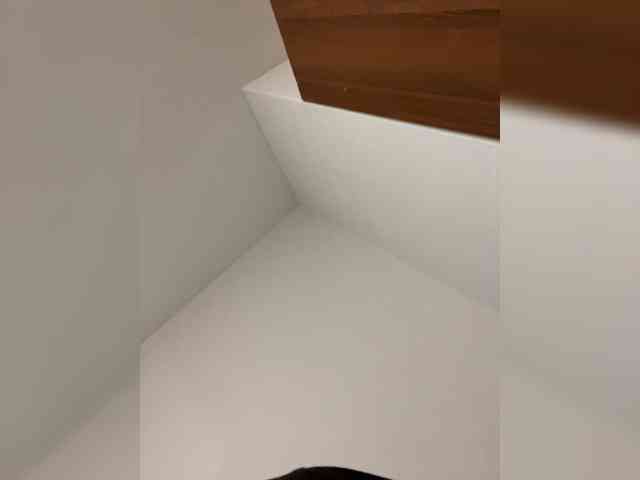 ARS__007