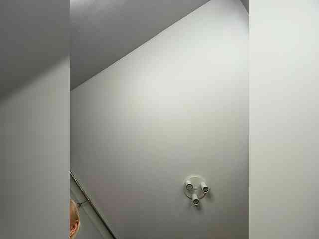 Модель: OAO_Sofi