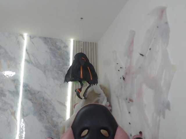 paulinaco live cam on BongaCams