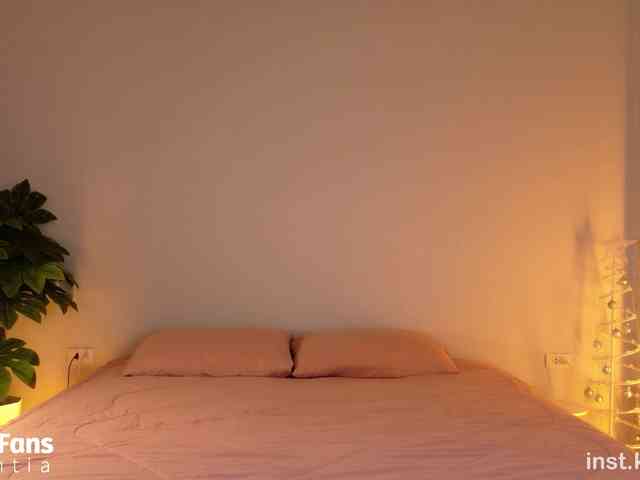 VincentiaX webcam