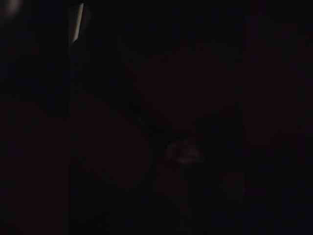 LaraDen-Fox webcam