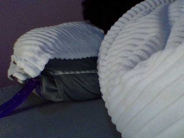 Curvysexy