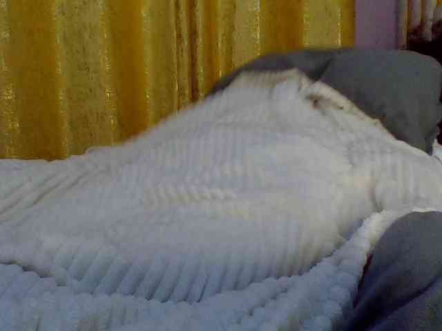 Curvysexy webcam