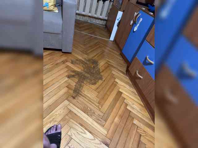 Night-furry77 webcam