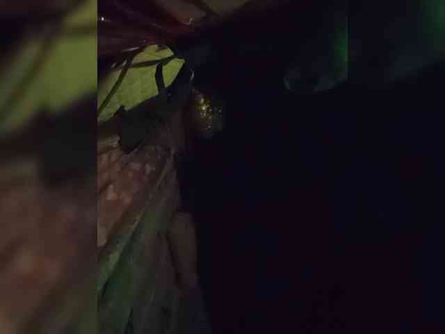 MiaaMorre webcam