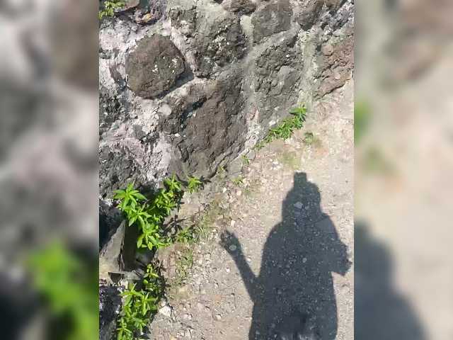 SpringMe