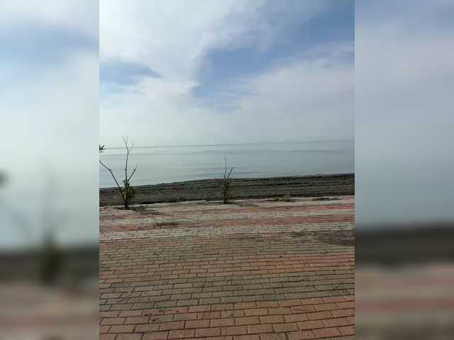 SpringMe
