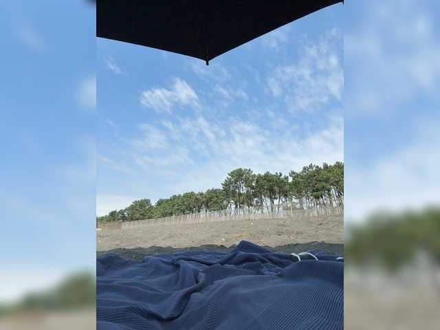 SpringMe