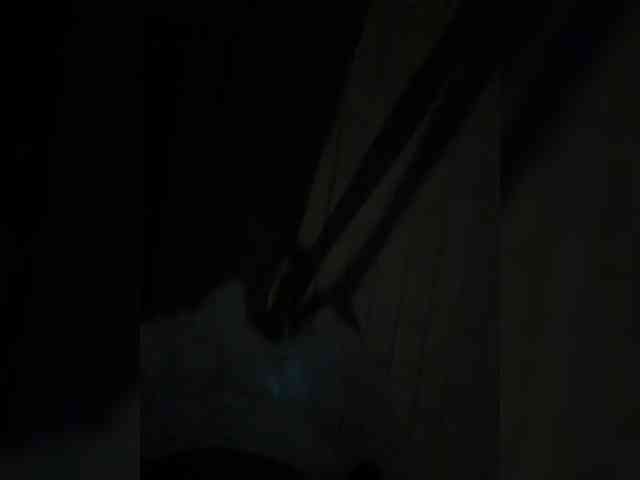 SpringMe webcam