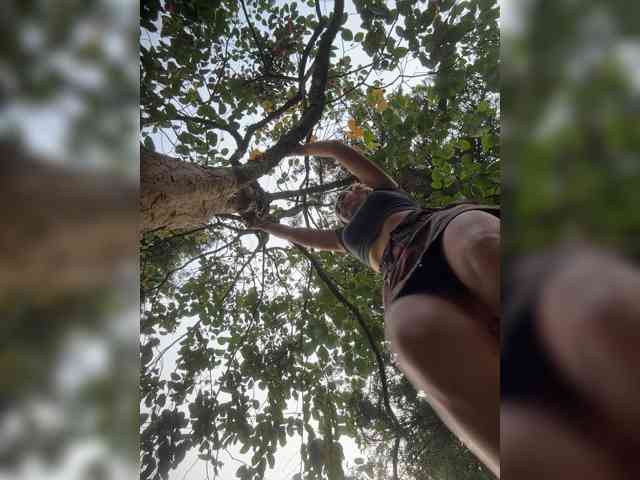 SpringMe